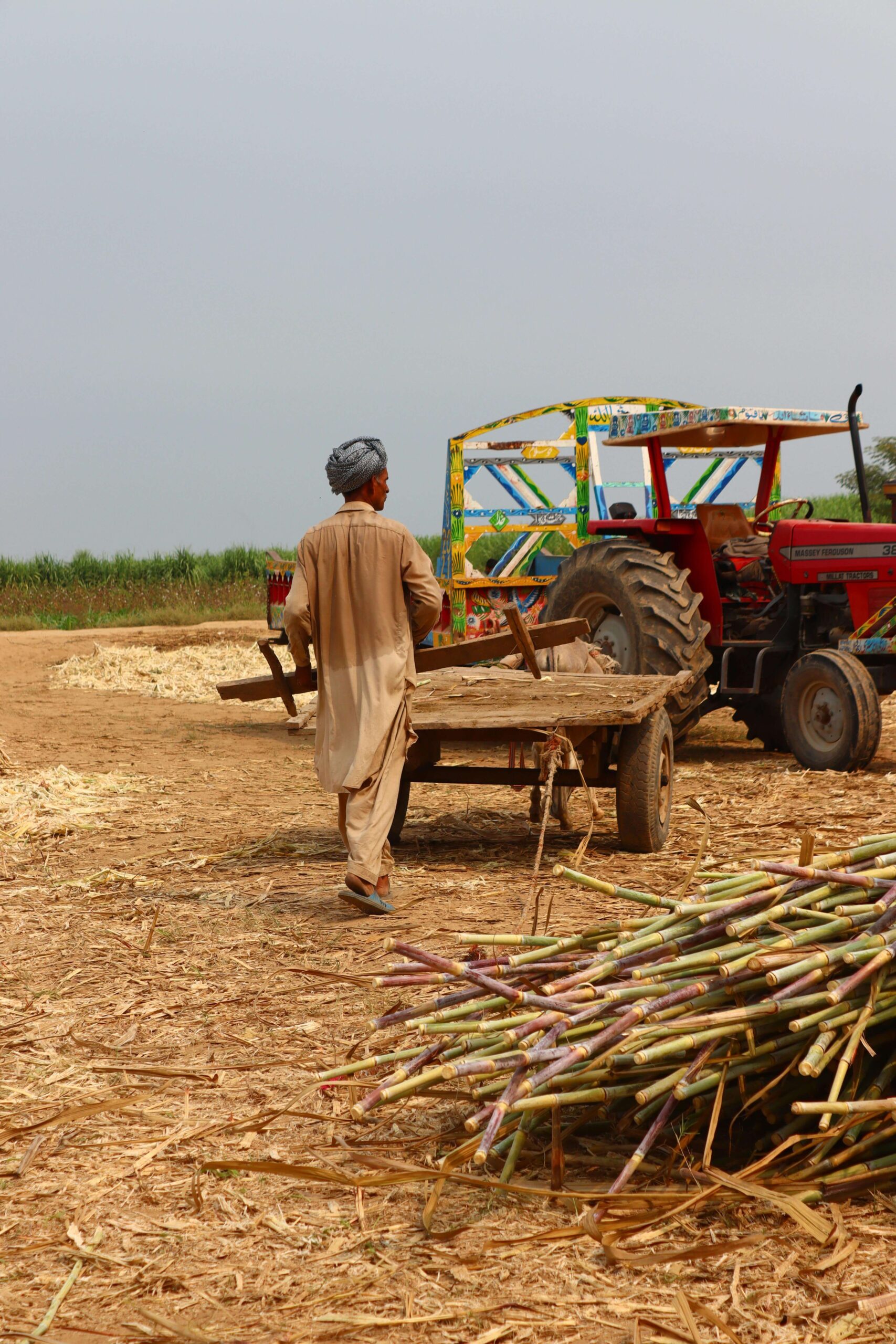 AI in sugarcane agriculture