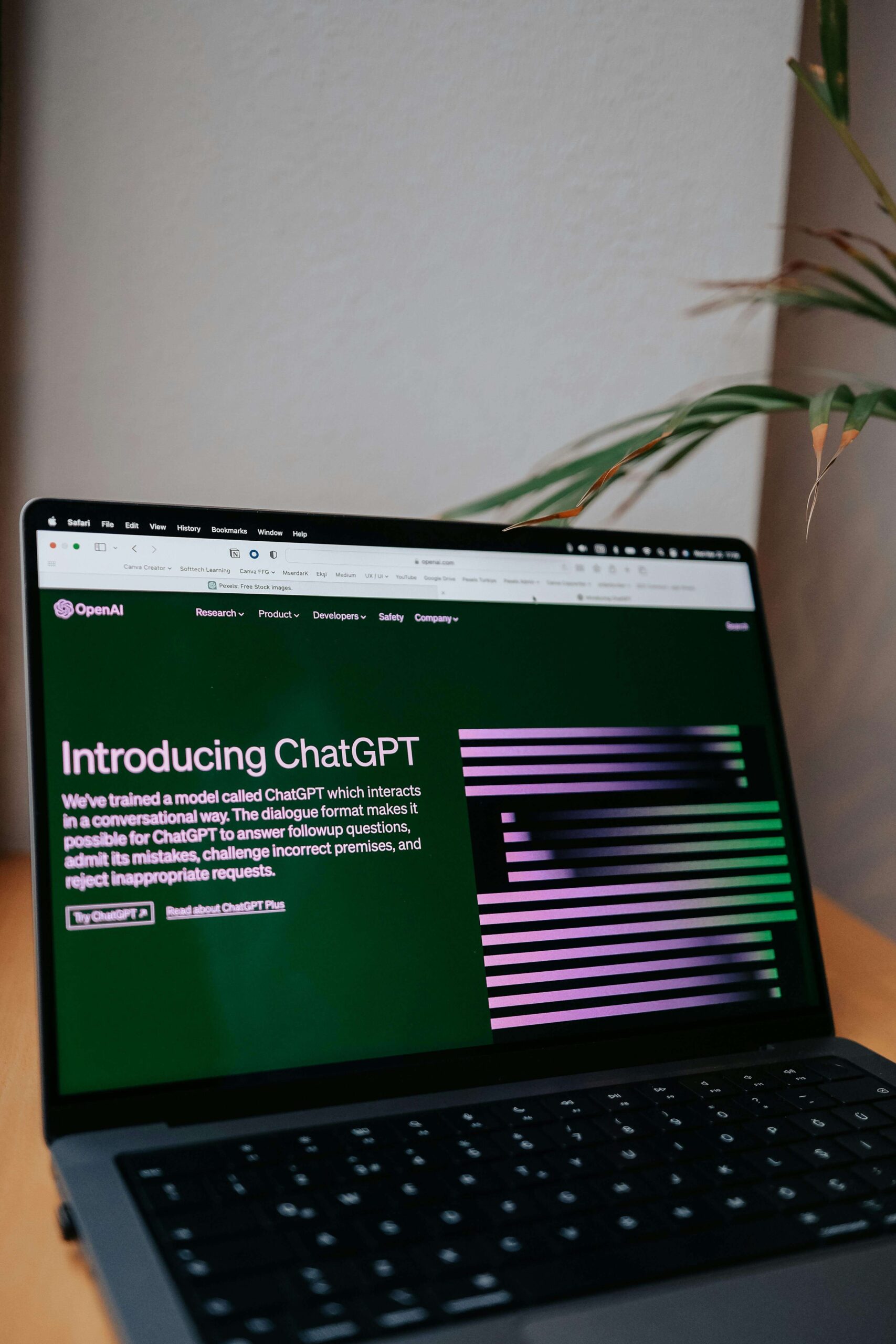 AI Is Changing Our Daily Lives
