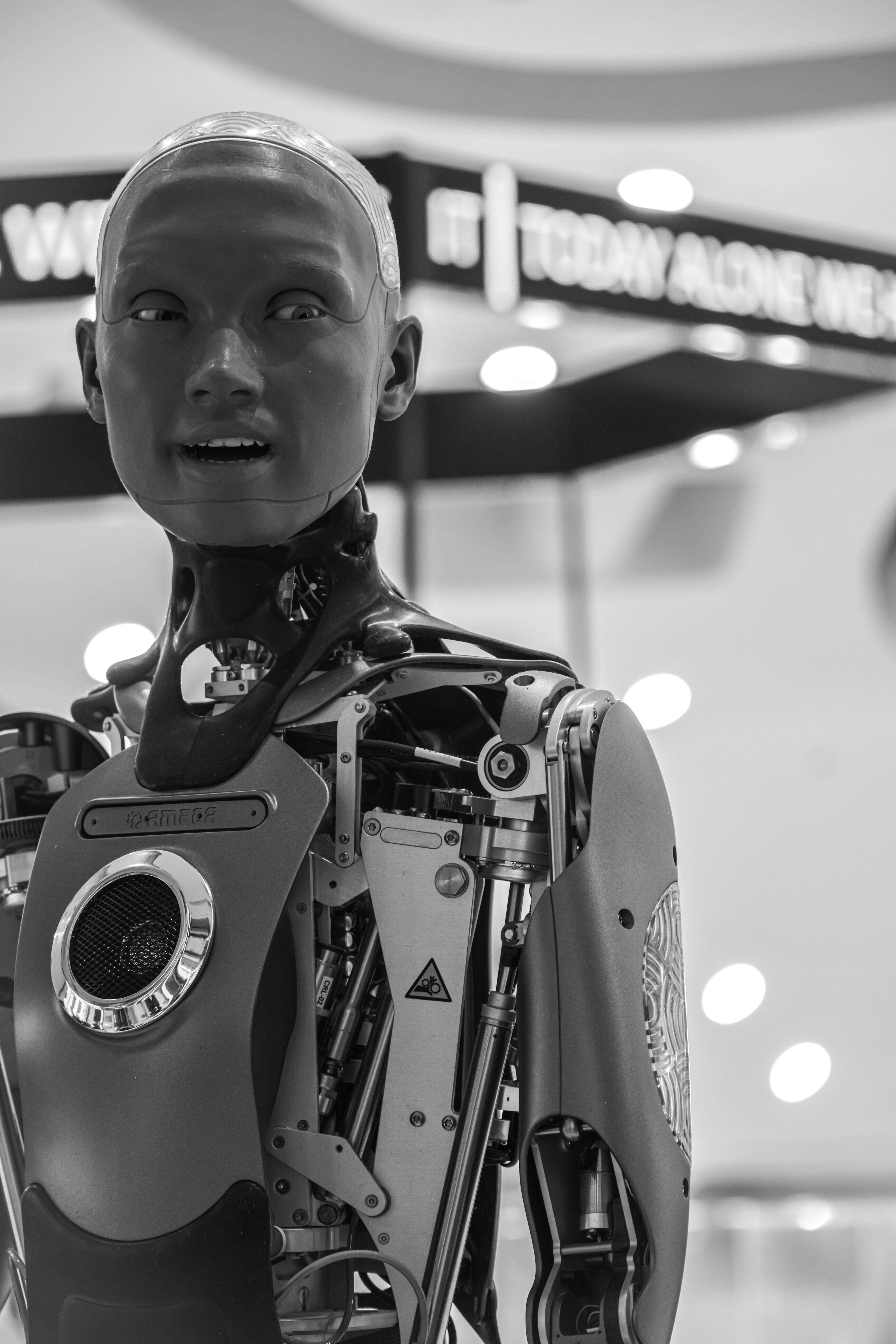 Future of AI Jobs