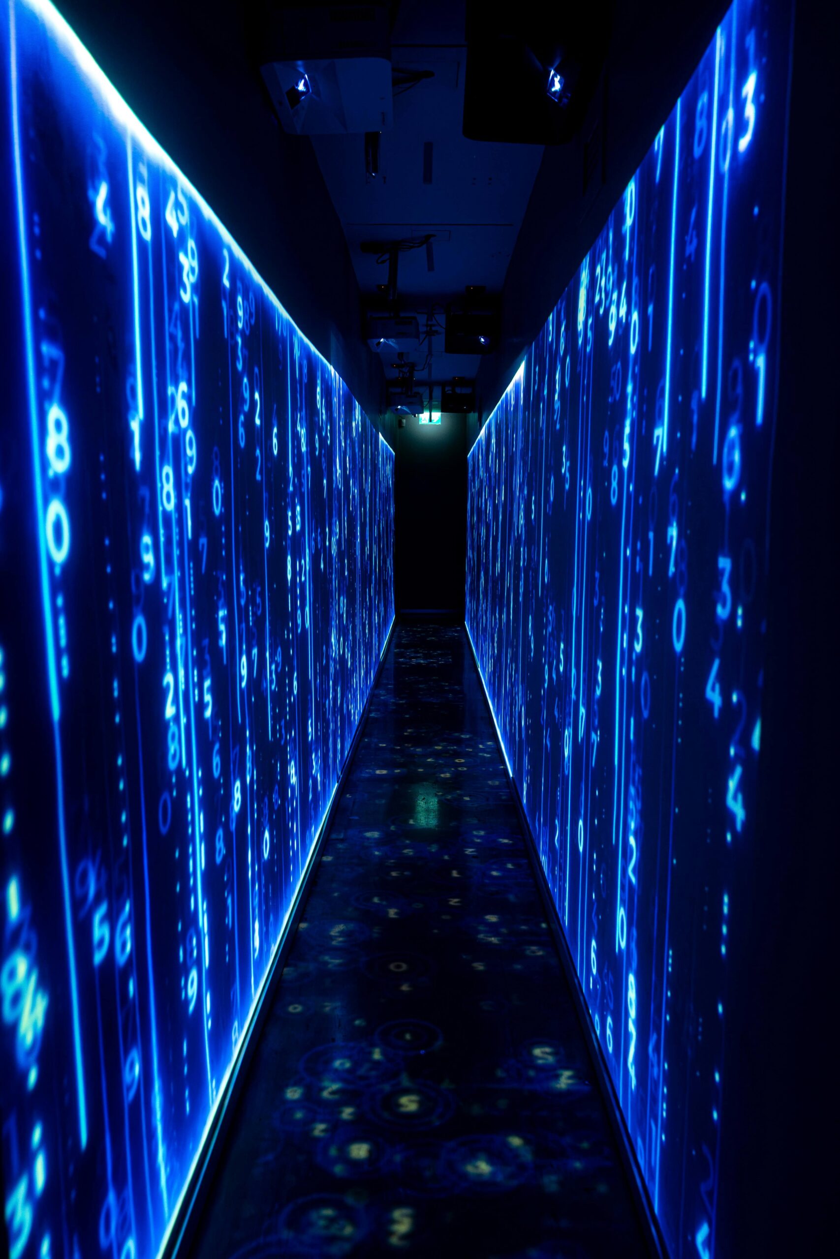 AI and Privacy