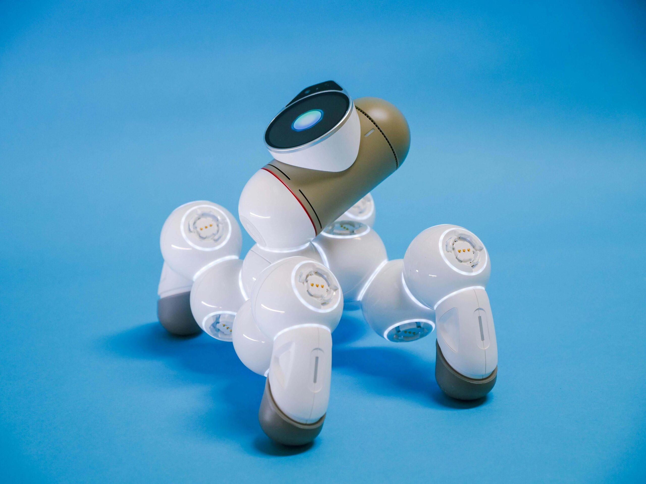 AI Companion Liability