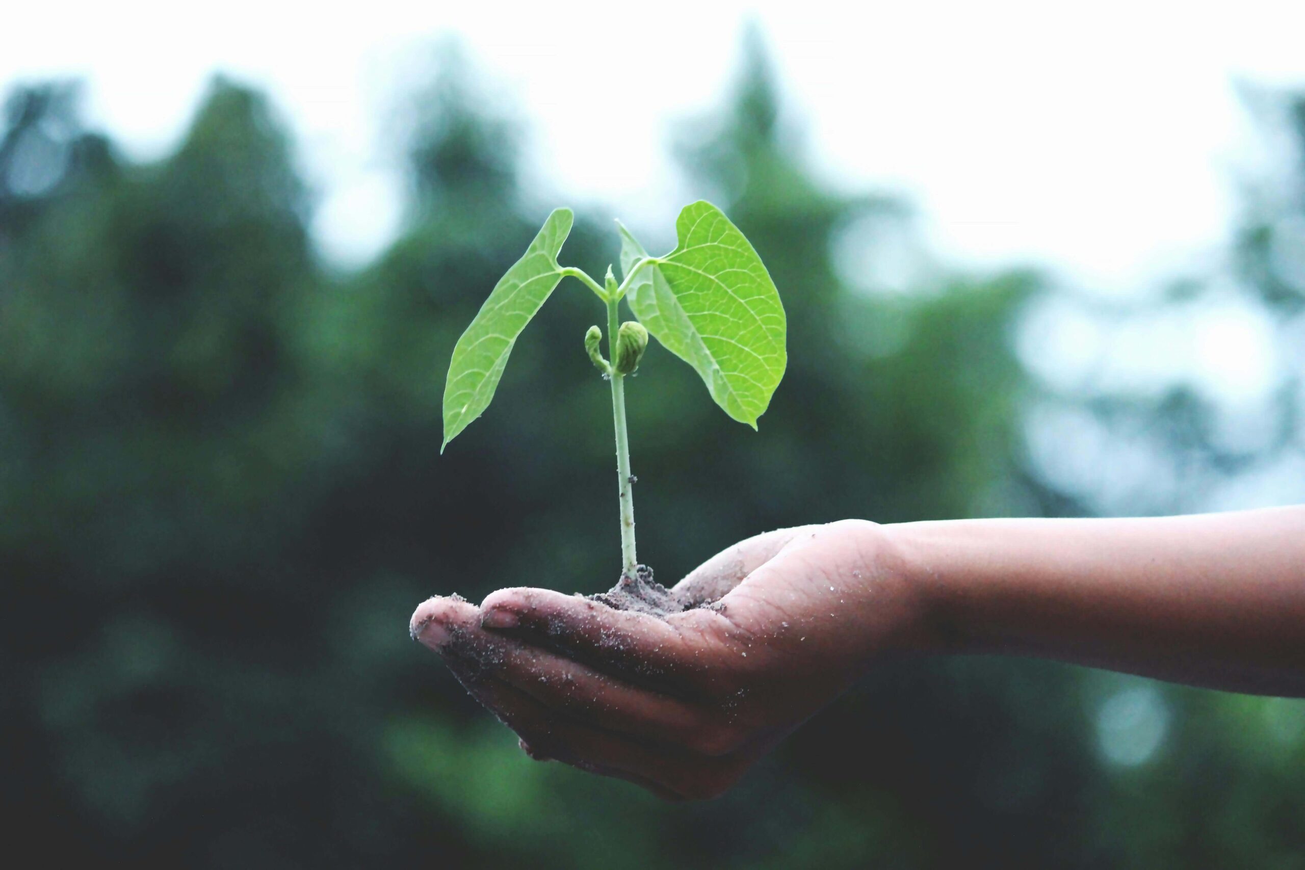 AI for Climate Change