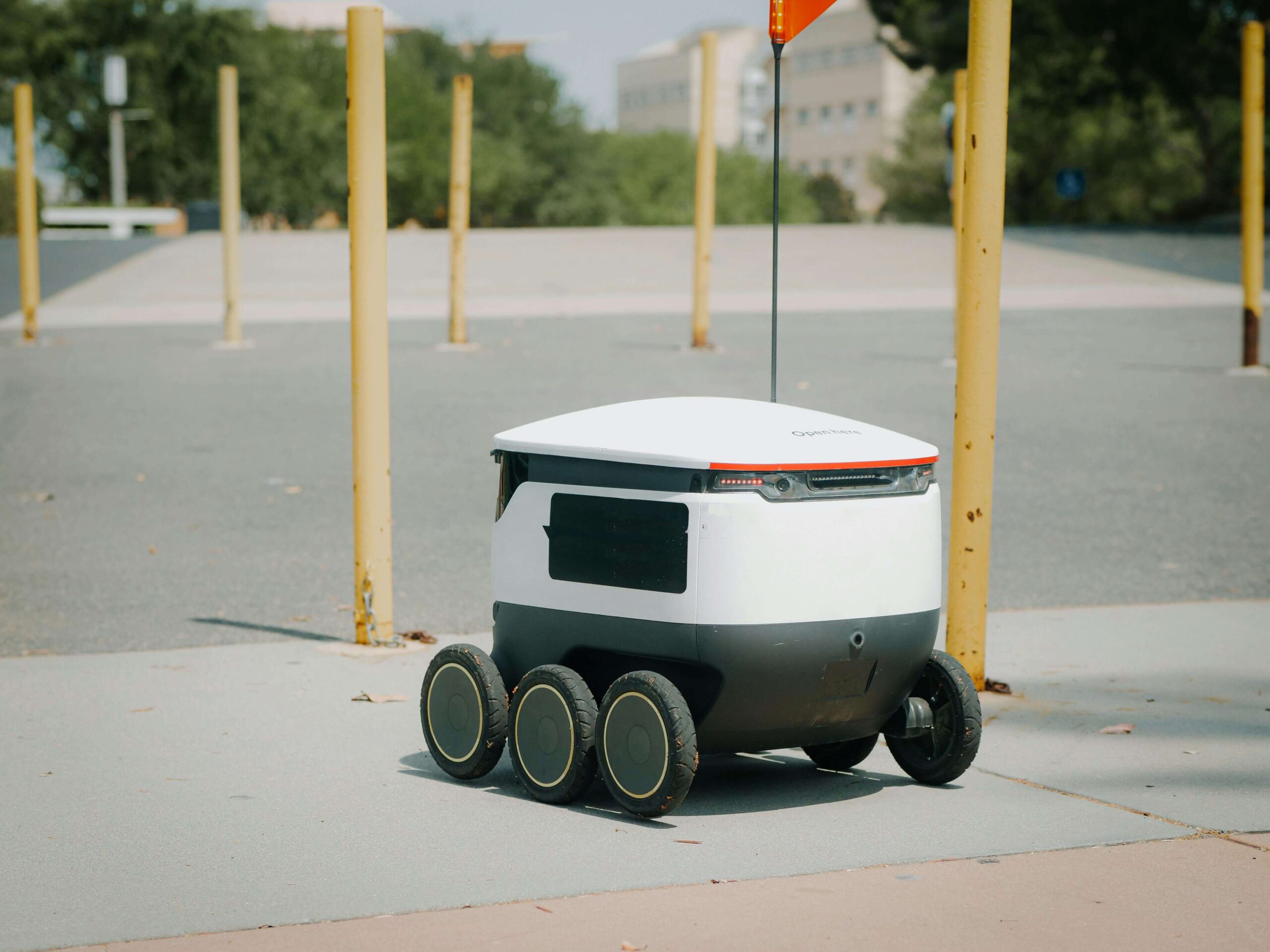 AI as a Public Service