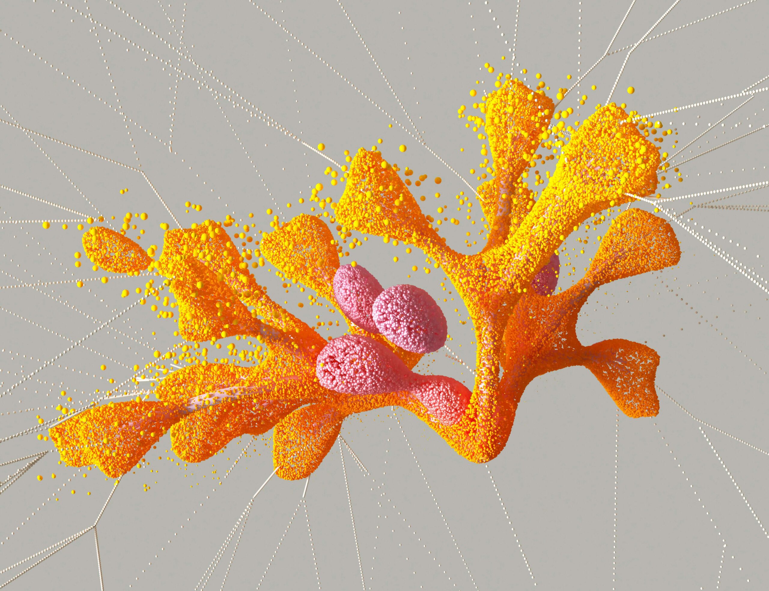 Biomimetic Computation in Neural Networks