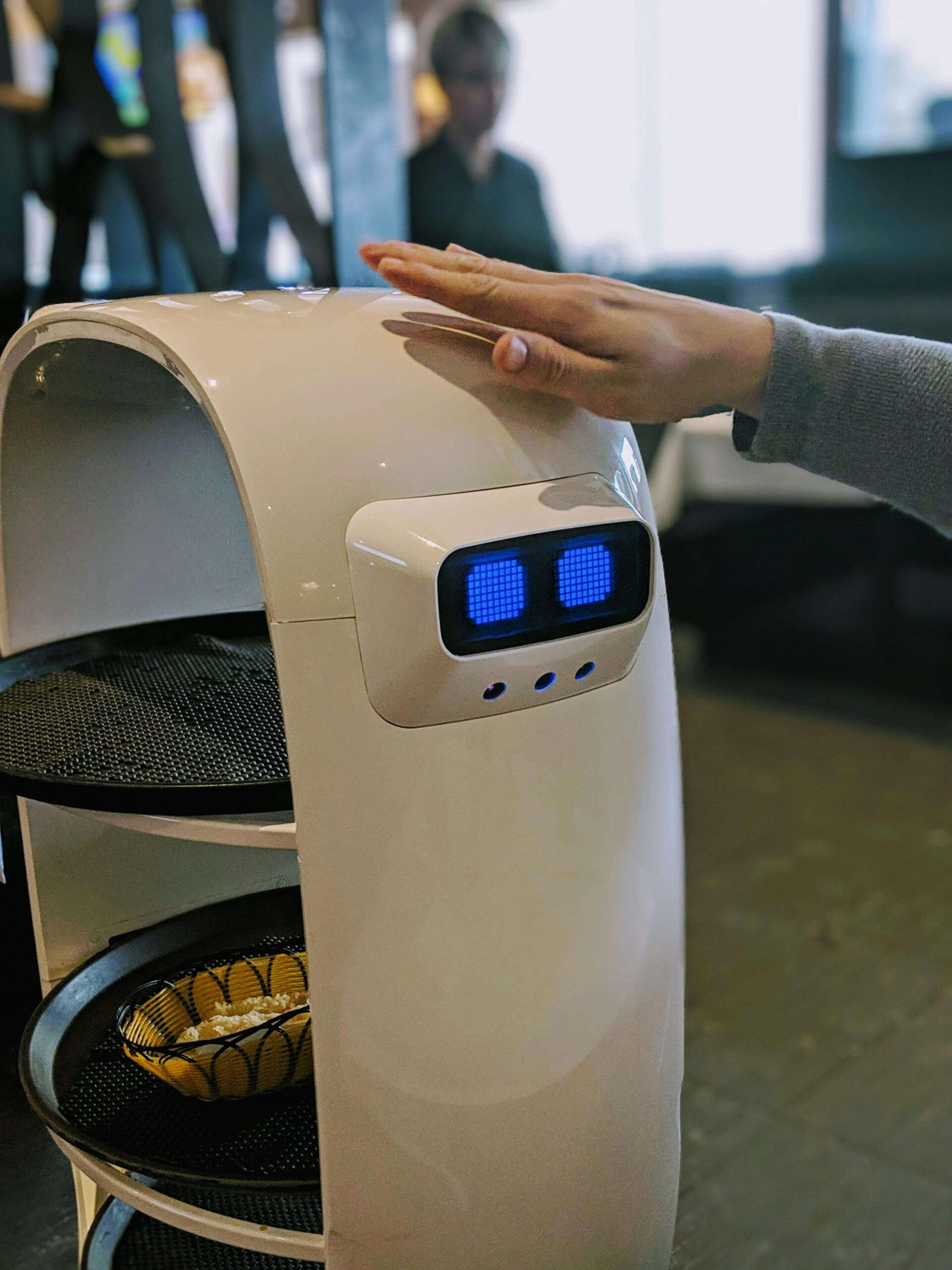 AI as a Public Service