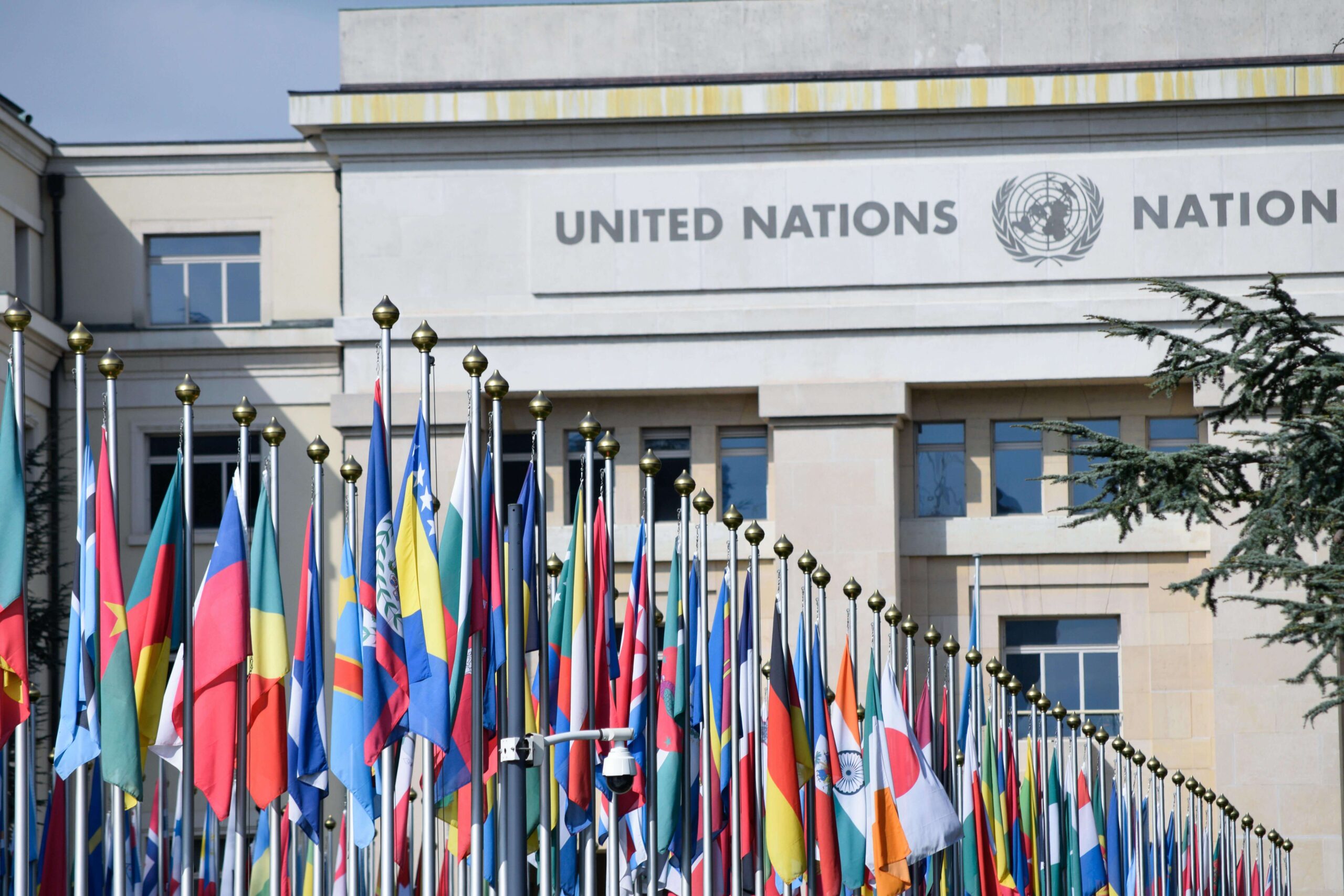 Global Governance of Artificial Intelligence