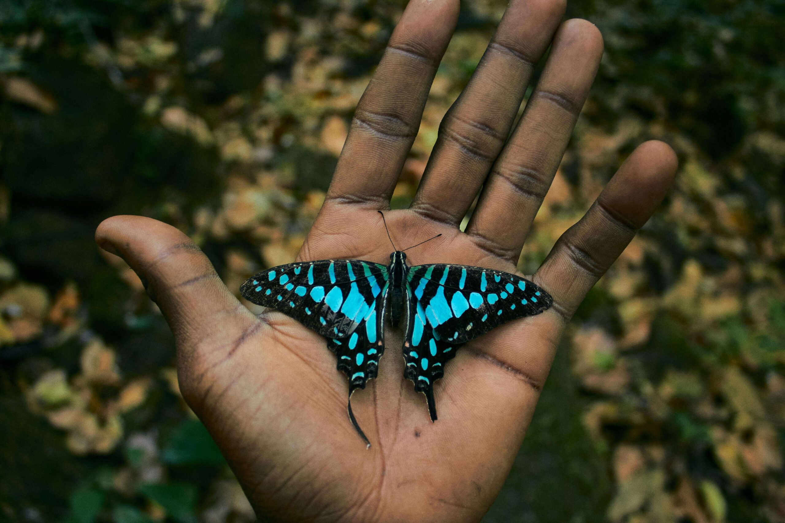 AI Bias and Fairness