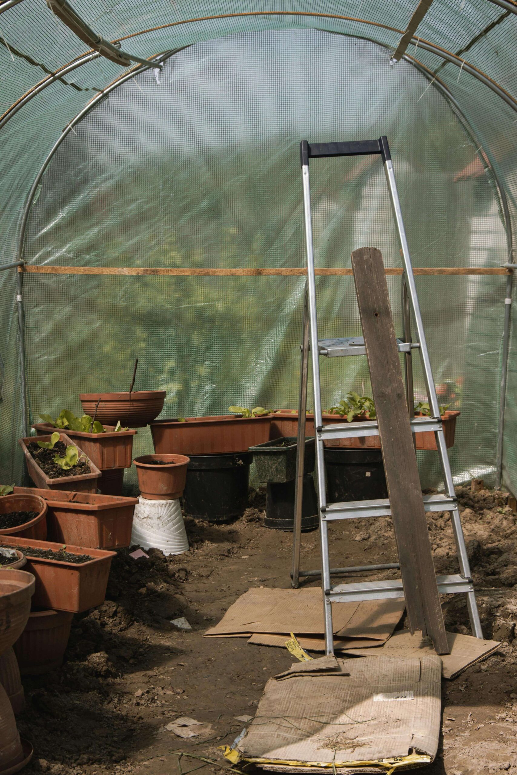 Smart Greenhouse Tomato Cultivation
