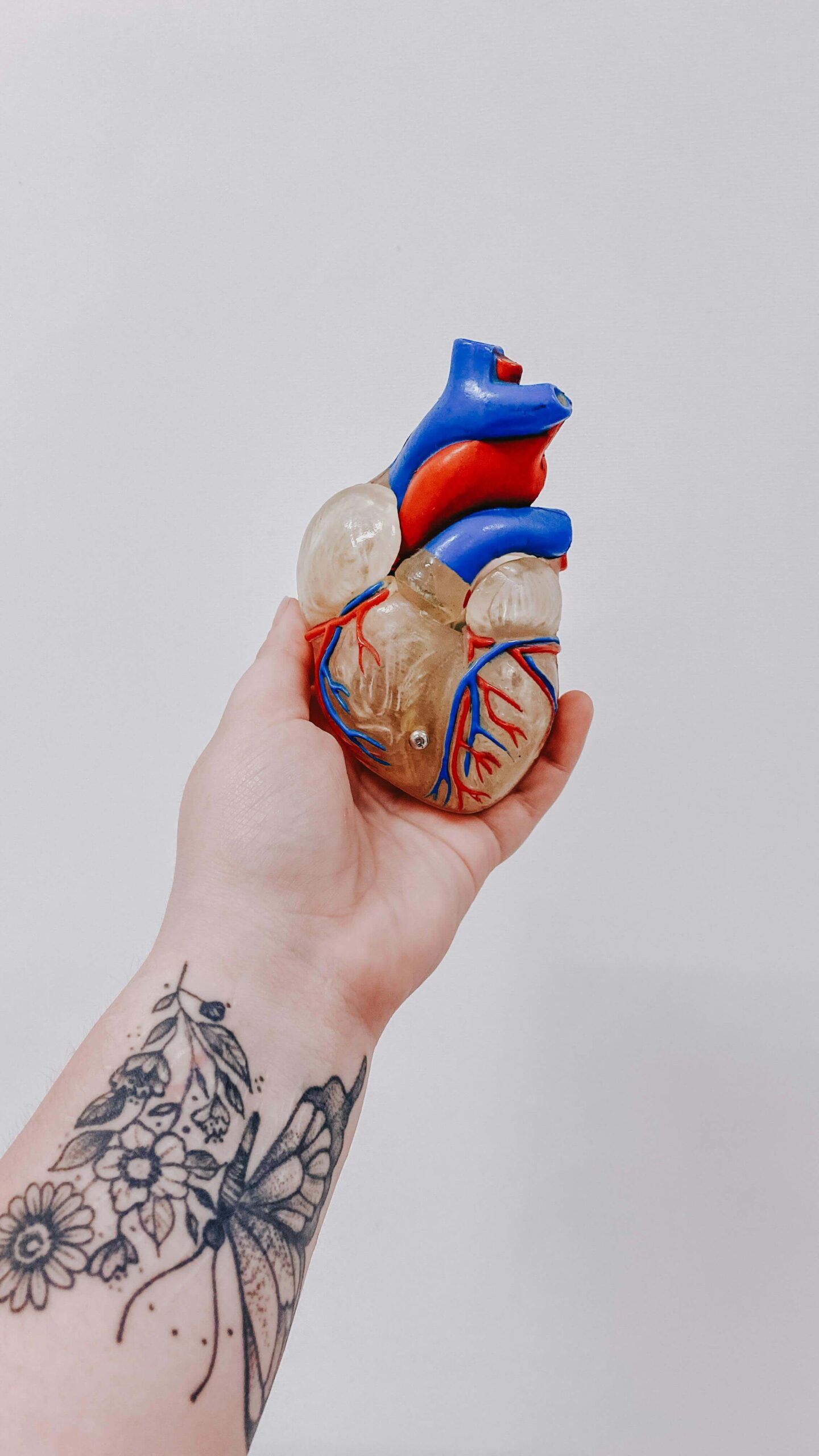 AI in cardiovascular health