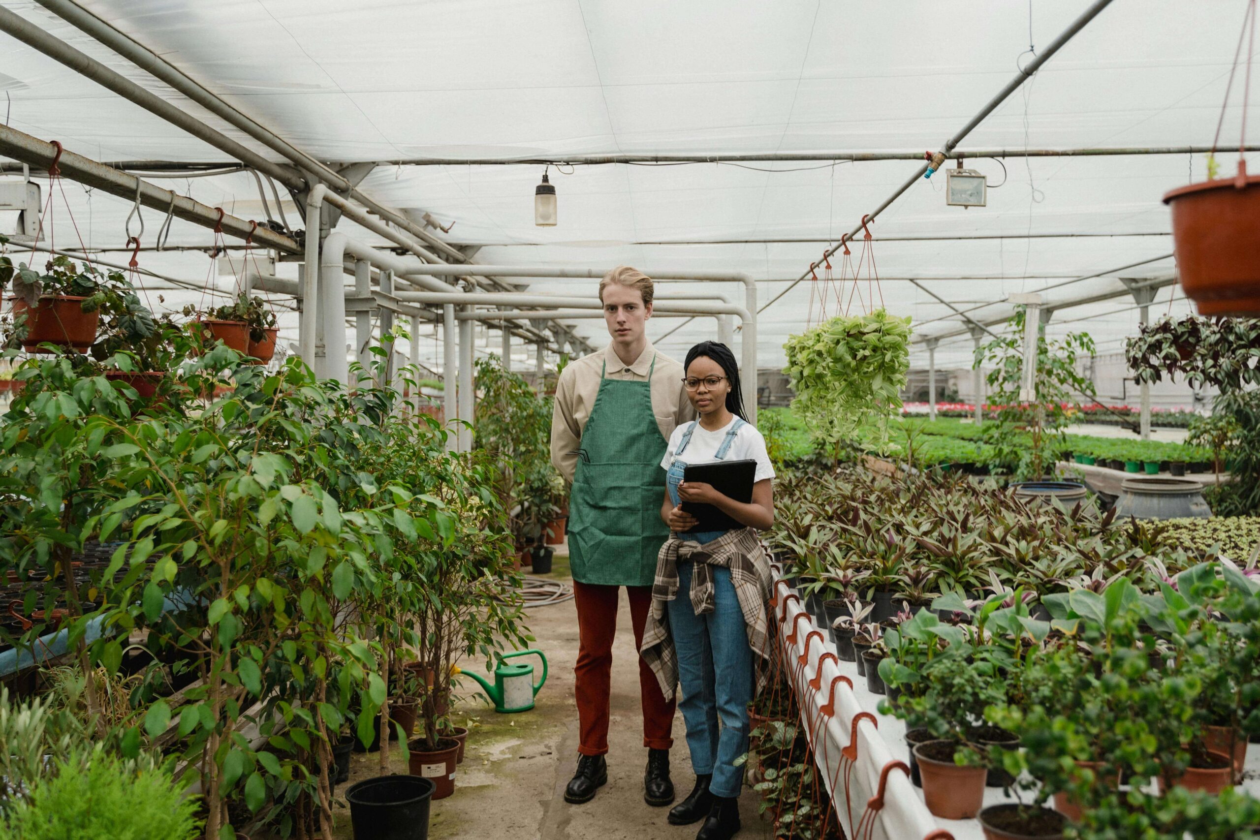 Smart Greenhouse Tomato Cultivation