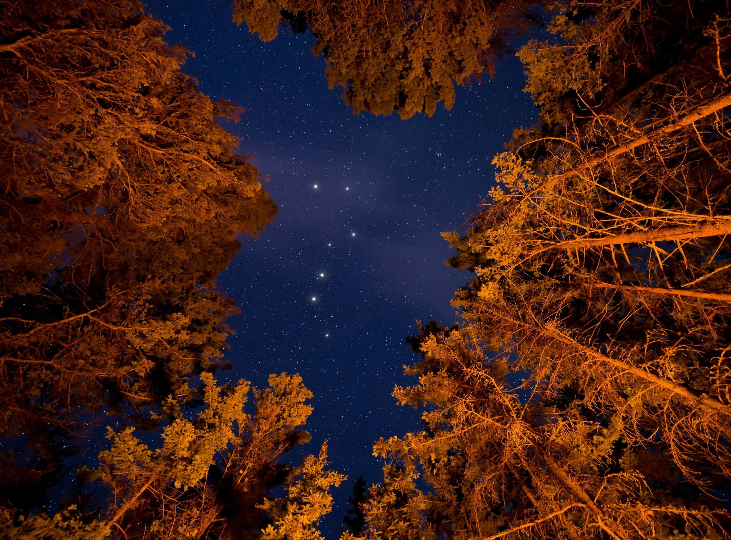 Stellar Parameter Estimation using Neural Networks